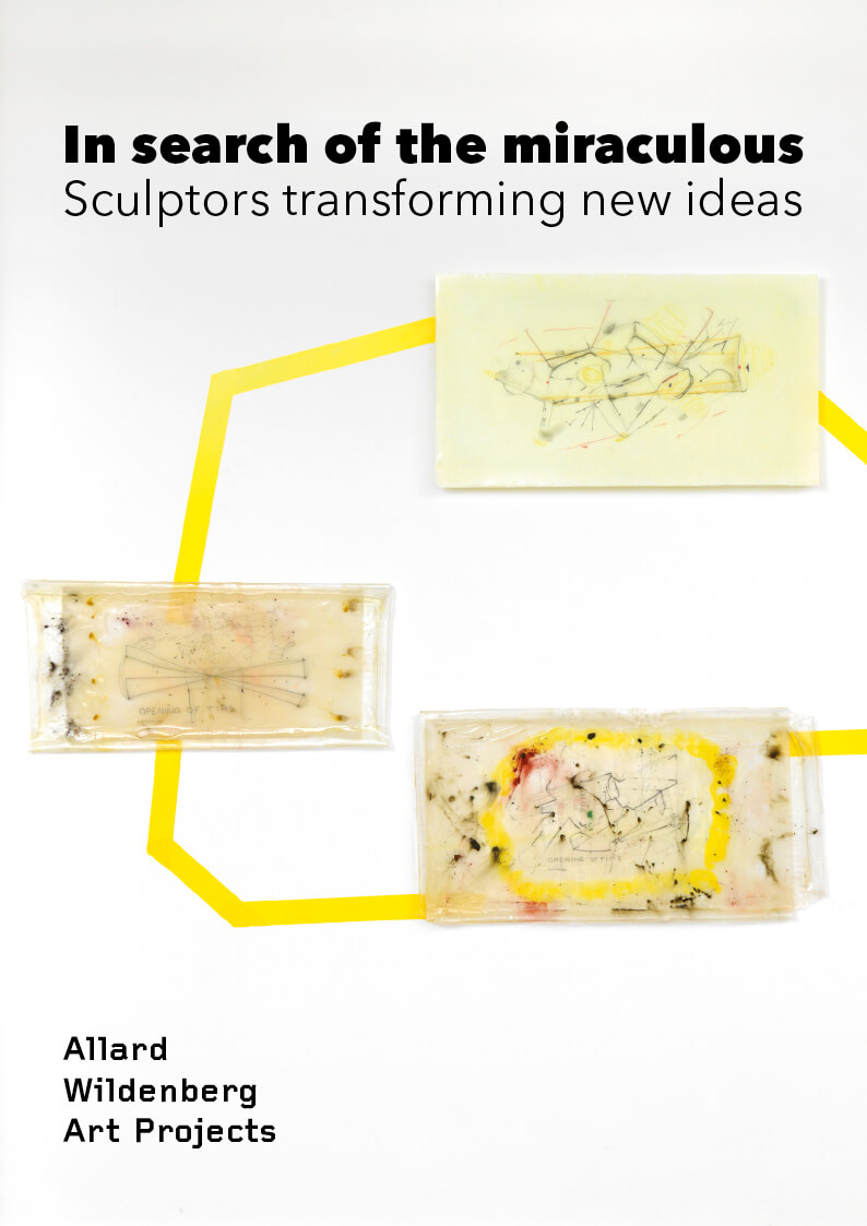 Karin van Dam - Ad de Jong - William Speakman - Jean Bernard Koeman - Anami Schrijvers - Esther de Graaf - In search of the miraculous | Sculptors transforming new ideas - Catalog Allard Wildenberg Art Projects